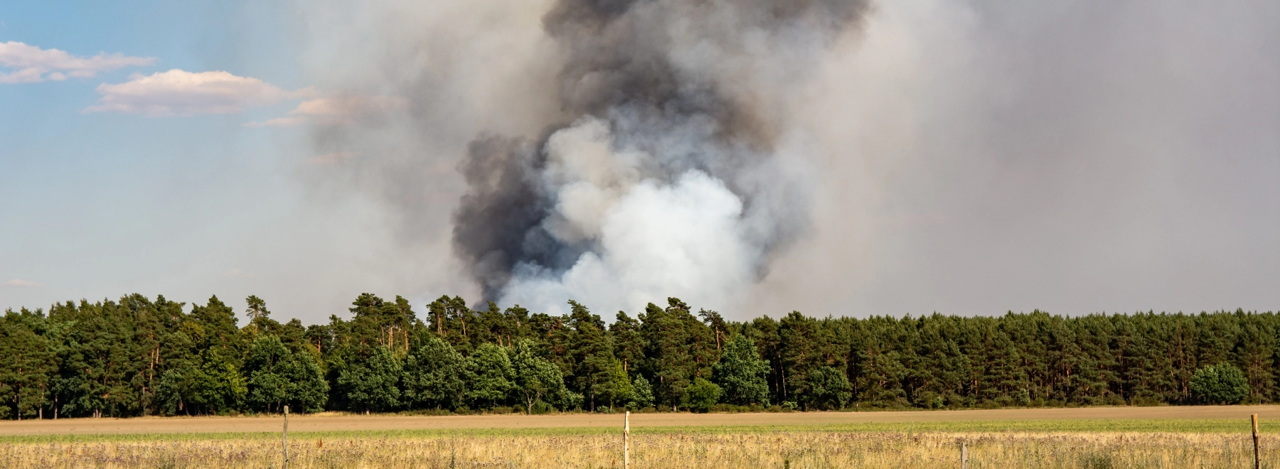 Brush fire and wildfire initial attack water trailer